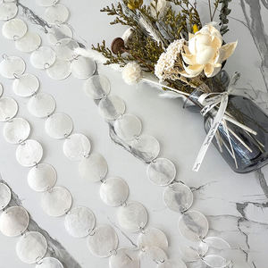 Venta Directa de Fábrica, Discos de Concha Natural Transparente de Indonesia, Concha Blanca, Campana de Viento, Decoración Ligera para Bodas, Láminas de Mica - Product Image 2