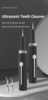 Détartreur ultrasonique rechargeable pour le nettoyage des dents des chats, des chiens et des petits animaux, avec embouts en acier inoxydable, pour usage domestique