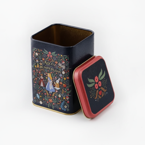 Boîte de rangement décorative multifonctionnelle de style européen Kontensan ER0229A 1,6 L, boîte en métal carrée 105x105x160 mm pour Wonderland - Product Image 2