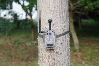 Caméra de chasse 4K pour sentier extérieur, étanche IP68, vision nocturne 950nm, chargeur solaire, pièges à caméra 4G