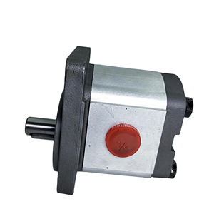 Bomba de Engranajes Hidráulica Externa Serie HUAMAO AZPF AZPG AZPN AZPFF, AZPF-11-011RAB01MB AZPF-11-004RCB20MB de Alta Presión - Product Image 6
