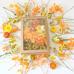 Diy mücevher kaynağı sevgililer günü için mum yapımı için kurutulmuş çiçek kiti yüksek kaliteli kurutulmuş bitkiler - Product Image 3