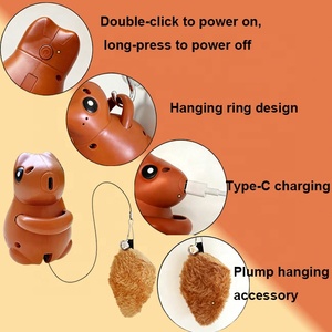 Giocattolo per Gatti Automatico con Ricarica USB, Bastone Retrattile con Scoiattolo Appeso - Product Image 5