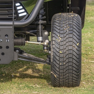 Carrito de Golf Personalizado de Lujo para 2 Pasajeros, Diseño de Alta Capacidad, con Capacidad para hasta 4 Pasajeros en Confort D - Product Image 5