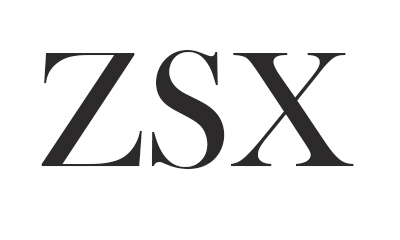 Guangzhou Haizhu Zhishangxi Garment Co., Ltd. logo