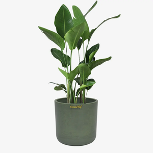 Vente en <span class=keywords><strong>gros</strong></span> Pépinière Jardin Grande Grande Taille Arbre Plante Pots <span class=keywords><strong>de</strong></span> fleurs Pots <span class=keywords><strong>de</strong></span> jardinières - Product Image 1