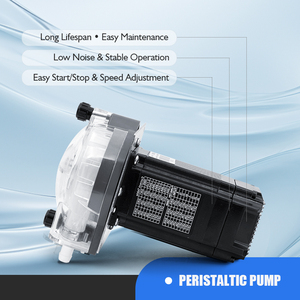 <span class=keywords><strong>Pompe</strong></span> péristaltique de dosage de boissons LEFOO CE à haut débit 2350 ml/min, moteur 24 V CC, pour la distribution de sirop, machines de distribution de boissons - Product Image 6