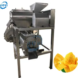 Multi functional fruit and vegetable juicer tomato fruit pulp extractor machine hot sale mango juice making machine