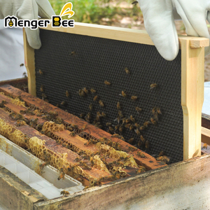 ราคาขายส่งจากโรงงาน แผ่นพื้นฐานพลาสติกสำหรับรังผึ้ง Menger Bee BS-5 ใหม่ ขนาดเซลล์ 5.4 มม. สำหรับรังผึ้ง (แบบลึก/กลาง/ตื้น) - Product Image 1