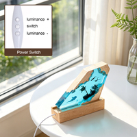 Lampe de nuit en résine époxy avec scène sous-marine 3D, base en bois naturel, lumière LED USB à intensité réglable, décoration artistique océanique unique, cadeau