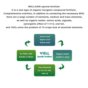 Wellagri Chất lượng cao NPK phân bón hữu cơ dạng hạt kiểm soát phát hành nước hòa tan axit humic phân bón - Product Image 4