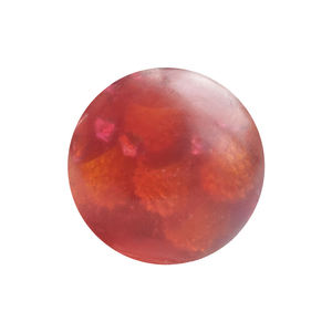 Juguete Antiestrés de Plástico con Forma de Bola de Malta de Uva y Coco, Novedad Viral, Regalo para Niños y Adultos - Product Image 4