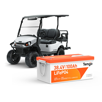 Baterai Ion Lithium 48 Volt 36v 100Ah 38.4v, baterai LiFePO4, baterai Golf Cart, baterai Lithium 200A Discharger arus untuk LSV