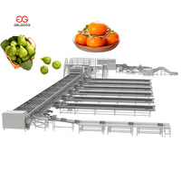 Citrusclassificeermachine, kalibratietafel, mangosteen sorteermachine, sinaasappelrollen in sorteermachine