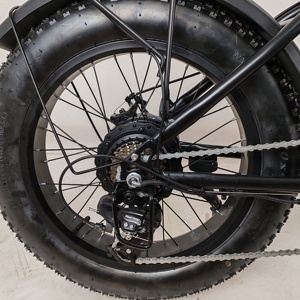 Offre Spéciale Chine Cargo vélo électrique 3 vitesses 48V batterie au lithium 500W 20 pouces route ville e-bike vélo électrique pour <span class=keywords><strong>femme</strong></span> homme - Product Image 4