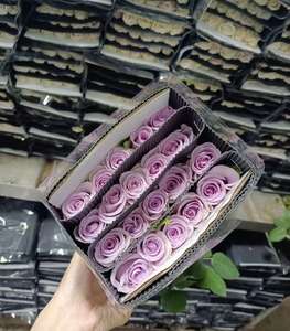 Vente en gros d'usine Ocean Song Purple Rose Valentine's Day Flower Office Décorer des fleurs fraîchement coupées avec des fleurs - Product Image 2