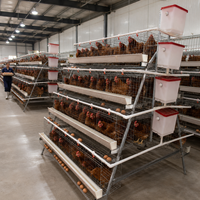 Cage à poules pondeuses de type A HK, 4 niveaux, 4 portes, pour poulaillers et fermes avicoles