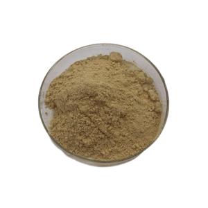 Polvo de orégano Extracto de orégano soluble en agua Extracto de hoja de orégano - Product Image 2