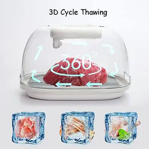 2023 Hot Selling 2 In 1 Defrosting Tray Thawing Household Defrosting Box For Frozen Meat Chicken Fish Steak