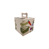 Draagbare Custom Logo Gedrukt Golfkarton Papier Kartonnen Verpakking Doos Spons Voor Granaatappel Drakenfruit Groenten