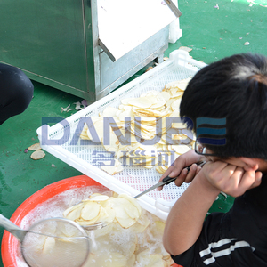 Equipo de Procesamiento de Patatas con Tecnología de Vanguardia: Línea de Limpieza, Pelado, Corte, Fritura y Secado de Patatas - Product Image 5
