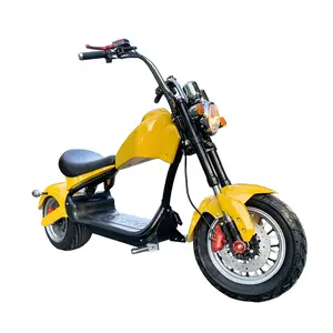 时尚模型3000w Eec电动摩托车可拆卸电池