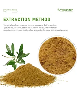 Olive Leaf Extract Supply Olive Leaf Extract 40% Oleuropein Olive Leaf Extract Powder