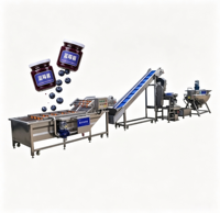 Apparatuur voor de productie van bosbessenjam: kook-, meng-, vul- en afsluitmachine voor glazen potten, industrieel voedselverwerkingsbedrijf