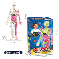 Modèle d'anatomie de squelette humain miniature en plastique, luminescent dans le noir, jouet éducatif à assembler pour enfants, coffret