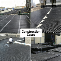 Grilles de drainage en HDPE pour la stabilisation des terrains gazonnés, pavés en plastique pour gazon