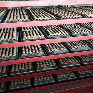 Ligne de production de barquettes à œufs, machine de moulage de pâte à papier, machine d'emballage de cartons avec cœur PLC, machine de fabrication de caisses à œufs haute vitesse 6000 pièces/heure - Product Image 6