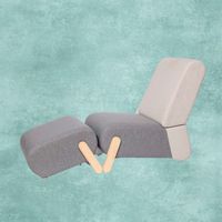 Hot Selling Freizeit Sofa Stuhl mit Fuß stütze Soft Velvet Akzent Stuhl Wohnzimmer Schlafzimmer Schule-Chinese Manufacturer Factory
