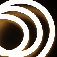 360 bleu Led néon Tube Flexible néon bande 360 degrés 220v lampe Led diffuseur lampe néon Silicone