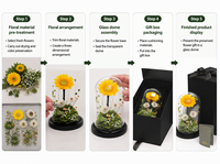 Pissenlit et tournesol stabilisés sous cloche en verre, fleurs éternelles faites à la main pour la fête des Mères et la Saint-Valentin