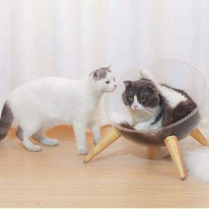2-Pack şık uzay gemisi kapsül akrilik kabarcık temizle kedi yatak kanepe kase yuva yastık ile ahşap yükseltilmiş şeffaf kedi yatak - Product Image 5