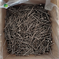 Clous en acier galvanisé de qualité industrielle, multi-spécifications, clous en fer galvanisé, clous courants pour projets de structures en bois