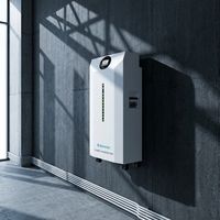 Batterie LiFePO4 16 kWh 51,2 V 314 Ah compatible avec onduleur Growatt, BMS protégé, 8000 cycles, stockage solaire CE, écran tactile intelligent 7 pouces