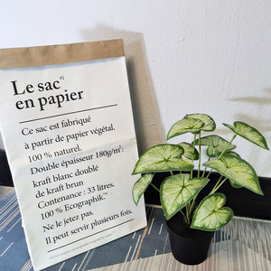 Piccola casa ufficio artificiale Dieffenbachia albero finta pianta d'<span class=keywords><strong>appartamento</strong></span> con verde dorato foglie di plastica <span class=keywords><strong>in</strong></span> <span class=keywords><strong>vaso</strong></span> pianta finta - Product Image 2