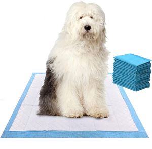 Almohadillas de Entrenamiento para Mascotas Lavables y Ecológicas para Perros y Gatos, Absorbentes de Orina, Impermeables, para Uso Diario - Product Image 1