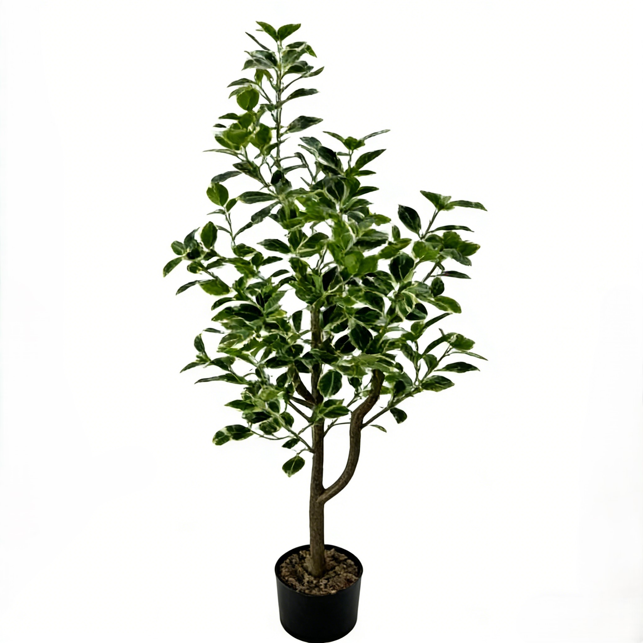 สีเขียว