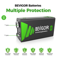 BEVIGOR 220mAh baterai NIMH 6 F22, senter perahu mikrofon dapat diisi ulang