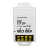 Module d'interrupteur intelligent E0703 compatible Tuya, disjoncteur 30A 6600W, contrôleur marche/arrêt pour appareils électroménagers, application DIY Home Graffiti