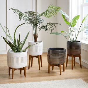 Maceta Moderna <span class=keywords><strong>de</strong></span> Cerámica Blanca para Decoración del Hogar FANGSHENG, Maceta Pequeña para <span class=keywords><strong>Cactus</strong></span> con Soporte <span class=keywords><strong>de</strong></span> Madera <span class=keywords><strong>de</strong></span> Bambú - Product Image 5