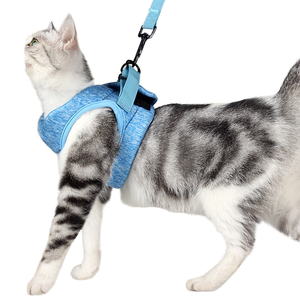 Para <span class=keywords><strong>Amazon</strong></span> Arnés de gato de moda con patrón sólido de tela transpirable y cintas decorativas Correa para mascotas Premium - Product Image 1