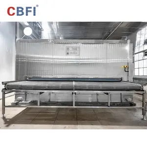Linha de produção de túneis de congelamento de máquina Iqf Batatas fritas congelador de túnel Iqf