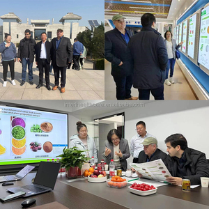 핫 세일 차가 버섯 분말 다당류 추출물 98% 차가 다당류 분말 - Product Image 4