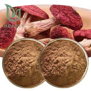 ผงสกัดจากเห็ดแดงออร์แกนิกจาก Russula Vinosa Lindblad 100% ผลิตภัณฑ์เสริมอาหารบริสุทธิ์จำนวนมากได้รับการรับรอง - Product Image 1