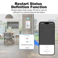Interrupteur mural intelligent WiFi 16A Brésil + Prise Brésil avec USB Type C, contrôle tactile, compatible avec Smart Life, Alexa, Google Home
