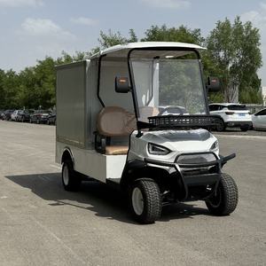 Carrito de Golf BETETEK Moderno de 2 Plazas, Totalmente Eléctrico, Diseño Aerodinámico y Elegante, para Campos de Golf y Carreteras No Públicas - Product Image 4