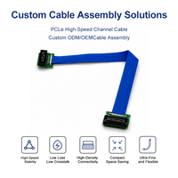 Rakitan Kabel PCIe Gen4 Gen5 OEM Presisi untuk Cluster HPC dan Server Pelatihan AI dengan Impedansi Terkontrol dan Perisai EMI